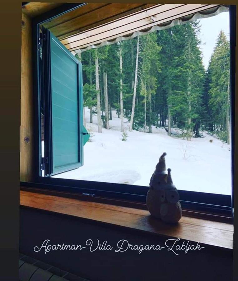 Vila Dragana Žabljak Dış mekan fotoğraf