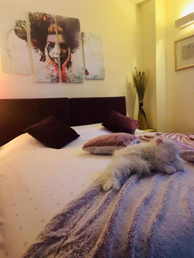 Vila Dragana Žabljak Dış mekan fotoğraf