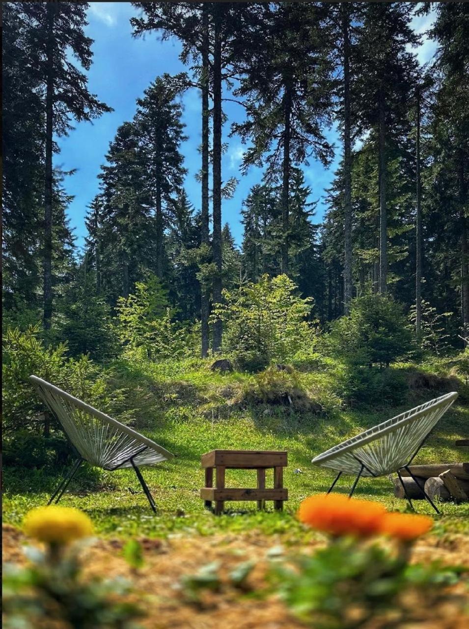 Vila Dragana Žabljak Dış mekan fotoğraf