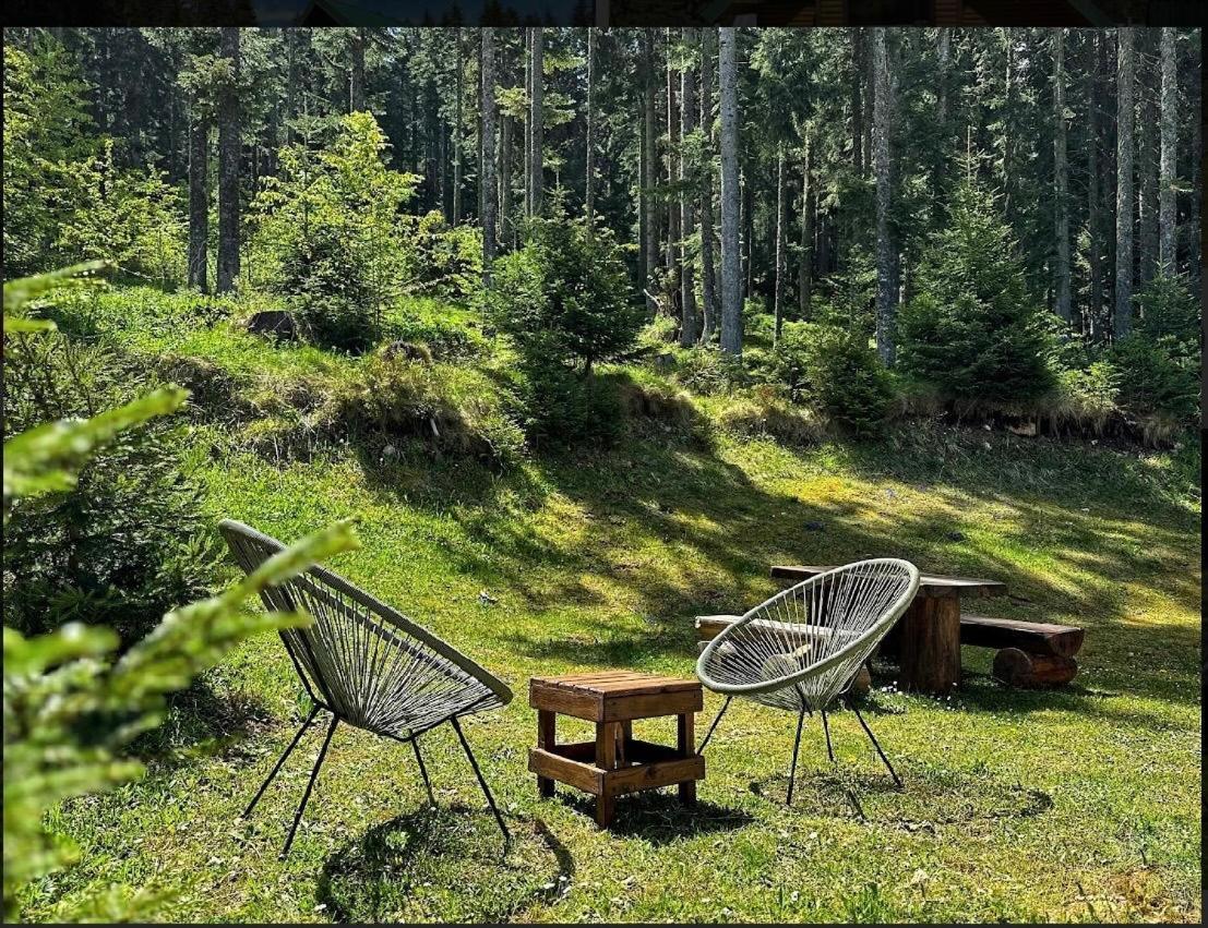 Vila Dragana Žabljak Dış mekan fotoğraf