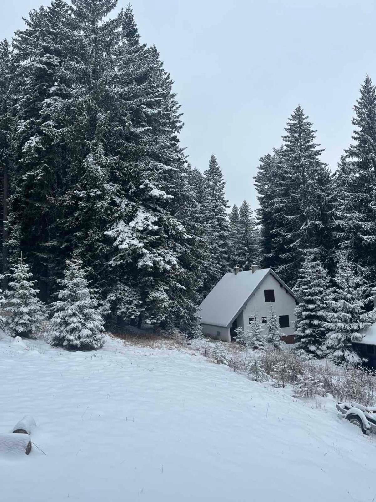 Vila Dragana Žabljak Dış mekan fotoğraf