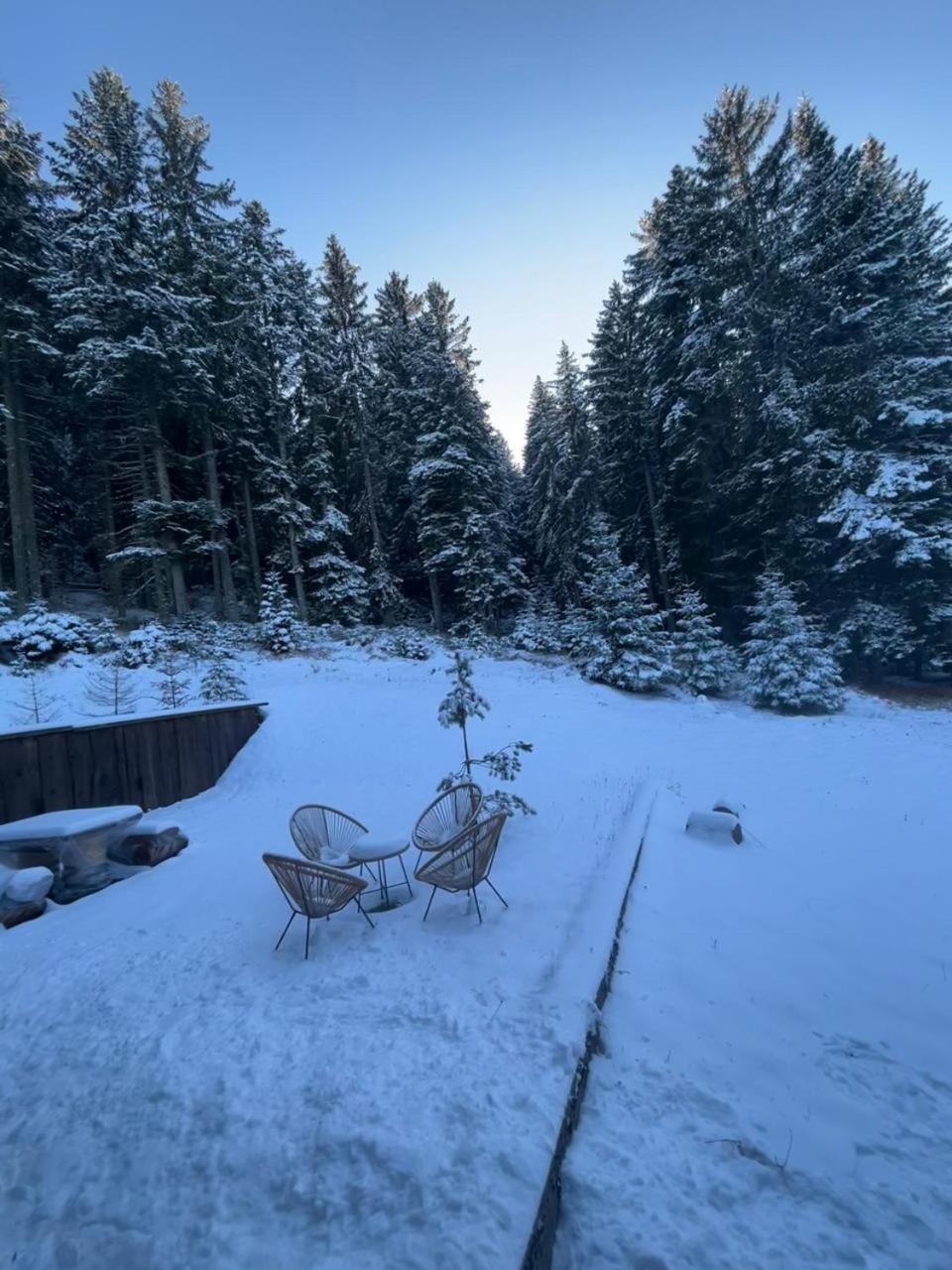 Vila Dragana Žabljak Dış mekan fotoğraf